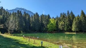 Le Lac de Freydieres. Vendre sa maison à Revel