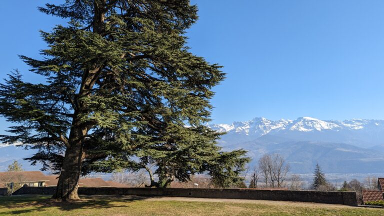 Vue du parc de la mairie de Biviers